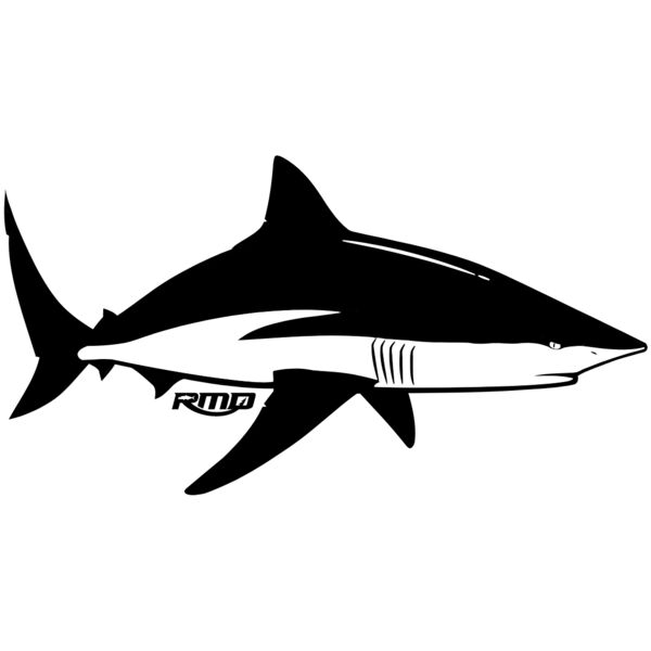 Bronze Whaler Thumbnail